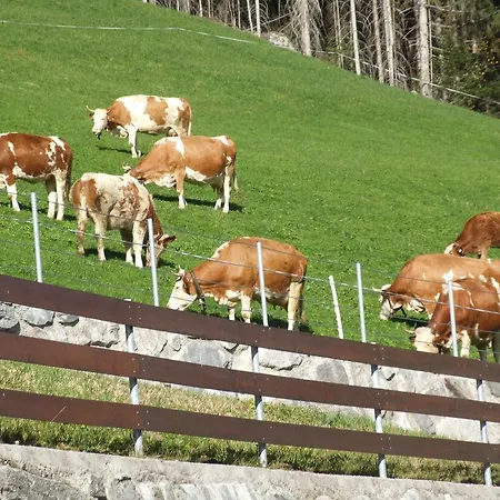Ferienwohnung Lehenhof Ried im Zillertal Zimmer foto