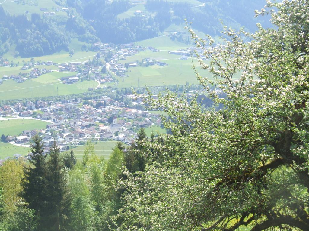 Lehenhof Appartement
