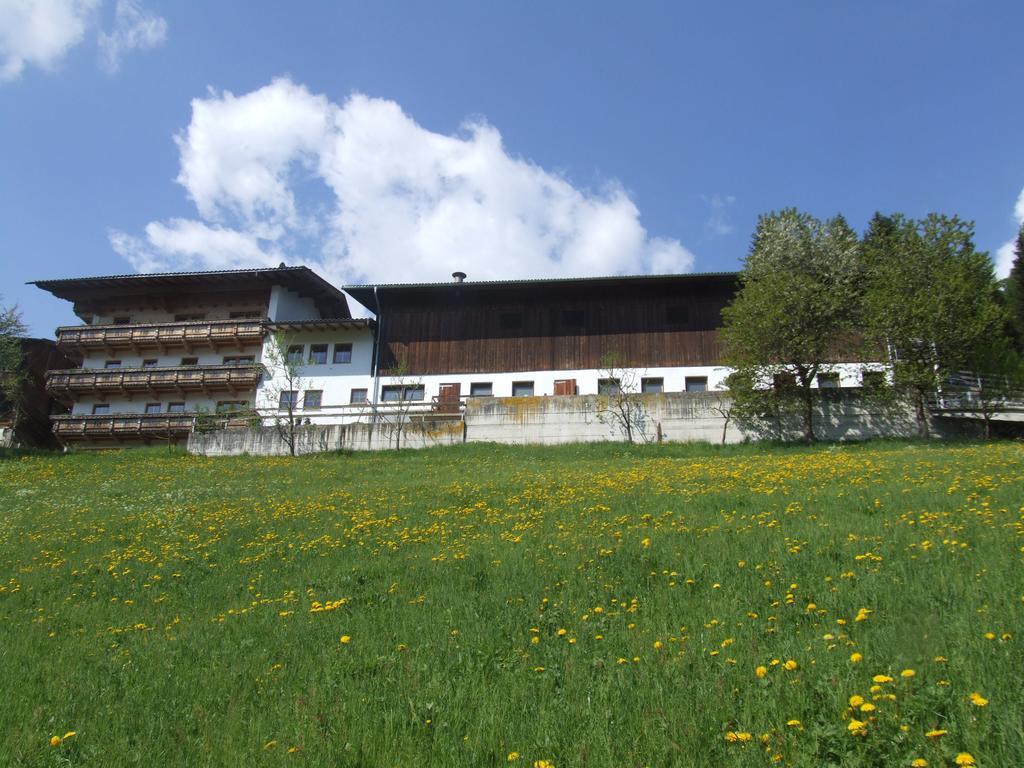 Lehenhof Appartement *
